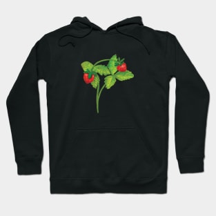 Woodland Wild Strawberry Illustration Hoodie